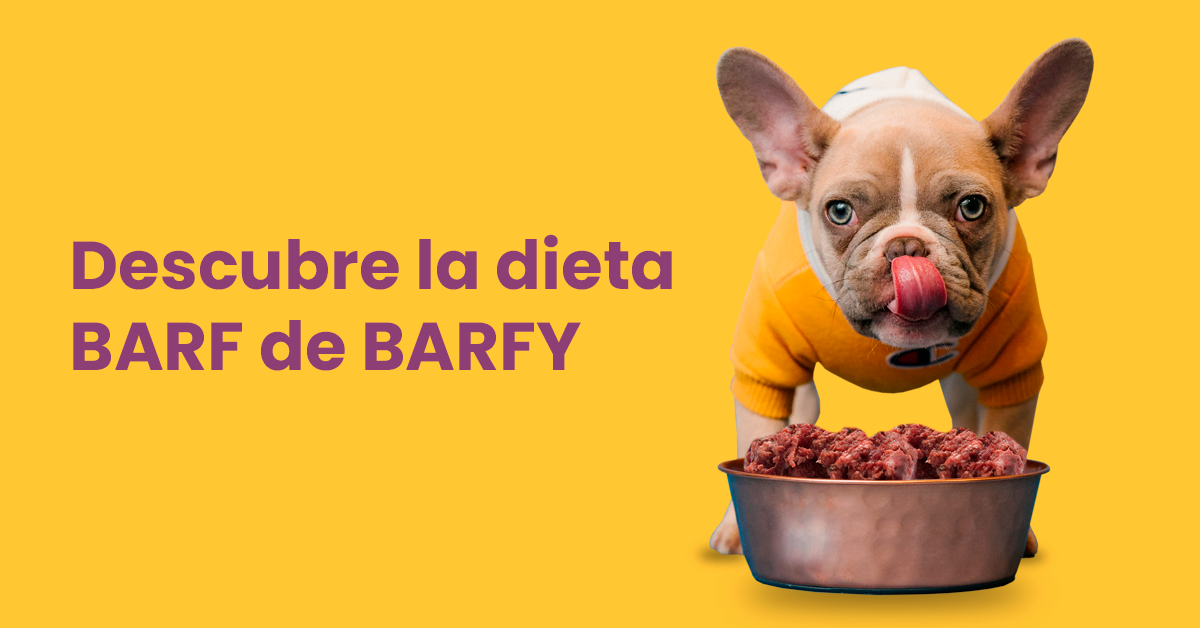 Descubre Comida Barf para perros