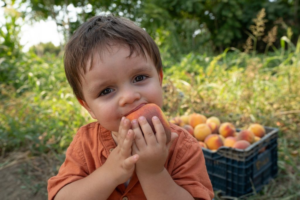 Alimentación infantil